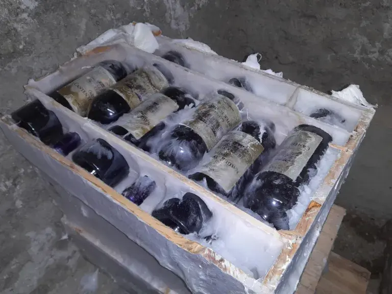 Hausschwamm Hausschwamm